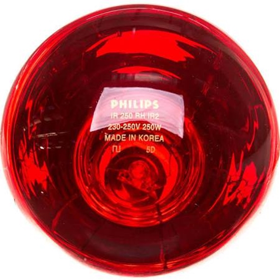 Picture of Philips Promiennik 250W InfraRed R125
