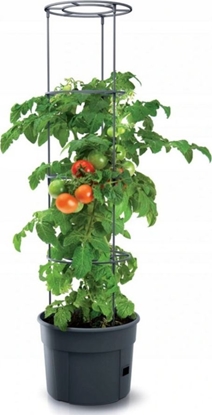 Attēls no Prosperplast Doniczka Prosperplast Tomato Grower r. 40 cm