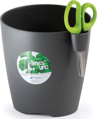Attēls no Prosperplast Doniczka do zió z noyczkami Limes Uno DLU150 grafitowa