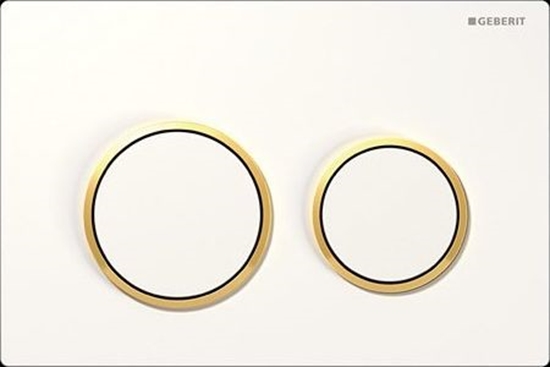 Изображение Przycisk spukujcy Geberit Omega 20 do WC zoty (115085KK1)