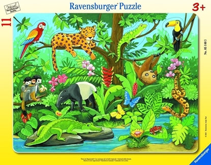 Изображение Ravensburger Puzzle 11 Co tu pasuje? Zwierzęta lasu deszczowego