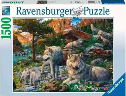 Attēls no Ravensburger Puzzle 1500el Wiosenne wilki 165988 RAVENSBURGER