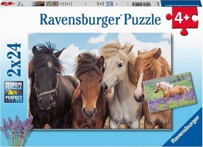 Picture of Ravensburger Puzzle 2x24 Konie