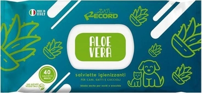 Picture of Record Italy RECORD CHUSTECZKI NEW ALOE VERA XL 80szt ANTYBAKTERYJNE