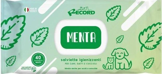 Picture of Record Italy RECORD CHUSTECZKI NEW MITA XL 40szt ANTYBAKTERYJNE