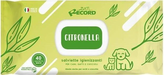 Изображение Record Italy RECORD CHUSTECZKI NEW TRAWA CYTRYNOWA XL 40szt ANTYBAKTERYJNE