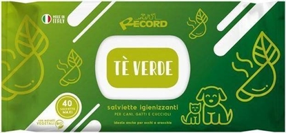 Picture of Record Italy RECORD CHUSTECZKI NEW ZIELONA HERBATA XL 40szt ANTYBAKTERYJNE