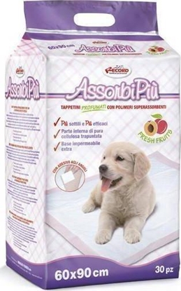 Picture of Record Italy RECORD PODKADY DLA PSA 60x90cm /30szt OWOCOWE