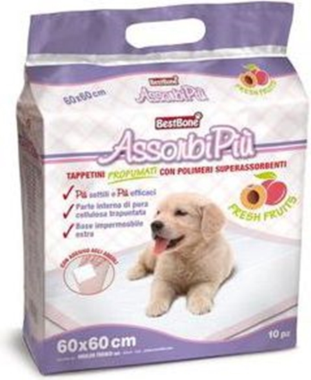 Picture of Record Podkady dla psa, owocowe 60x60 cm 10 szt.