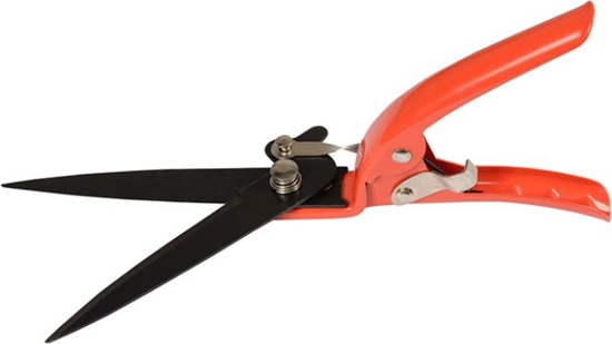 Изображение Robi Noyce do trawy (R352)