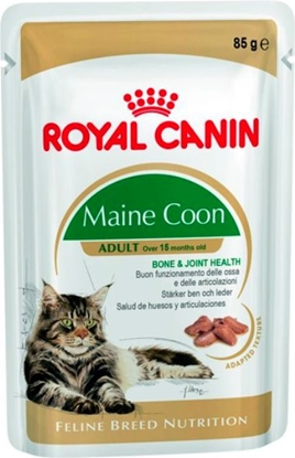 Attēls no Royal Canin Feline Breed Maine Coon saszetka 85g
