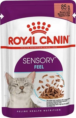 Picture of Royal Canin Sensory Feel Gravy 85g