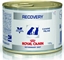 Picture of Royal Canin Veterinary Diet Recovery puszka 195g