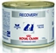 Attēls no Royal Canin Veterinary Diet Recovery puszka 195g