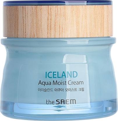Attēls no SAEM Krem do twarzy Iceland Aqua Moist Cream nawilżający 60ml