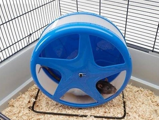 Picture of Savic SAVIC-KOOWROTEK ORBITAL LARGE 28cm - 010413