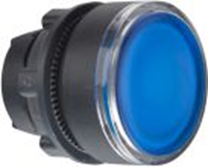 Изображение Schneider Electric Napd przycisku niebieski z podwietleniem z samopowrotem (ZB5AW363)