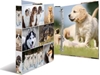 Picture of Herma Ringbuch A4 Hunde  4D