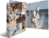 Picture of Herma Ringbuch A4 Pferde 4D