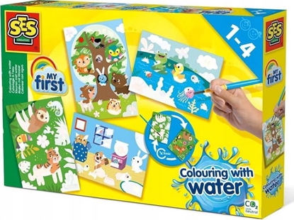 Picture of SES Moje pierwsze kolorowanie wod - Ukryte zwierzta