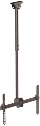 Изображение StarTech Uchwyt sufitowy FLATPNLCEIL 32'' - 75''