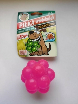 Picture of Sum Plast SUM-PLAST ZABAWKA PIKA WIELOKULKA 2