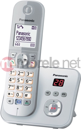 Picture of Telefon stacjonarny Panasonic KX-TG6821PDM Szary