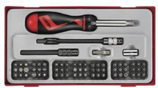 Изображение Teng Tools Zestaw wkrtaka z grotami wymiennymi 74 elementy (14403-0103)
