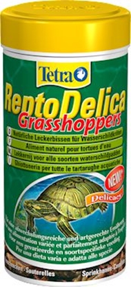 Attēls no Tetra ReptoDelica Grasshoppers 250 ml