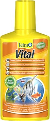 Picture of Tetra TetraVital 100 ml - śr. witaminowy dla ryb i roślin w płynie