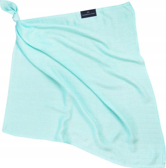 Picture of Texpol PIELUSZKA BAMB.30X30 CLASSIC AQUA 170G GAT.1