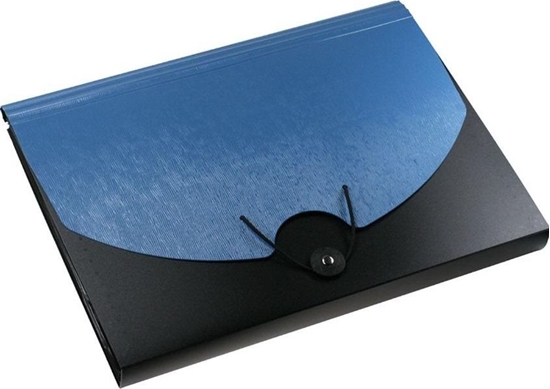 Picture of Titanum Teczka A4 z gumk 13 przegródek czarno-niebieska