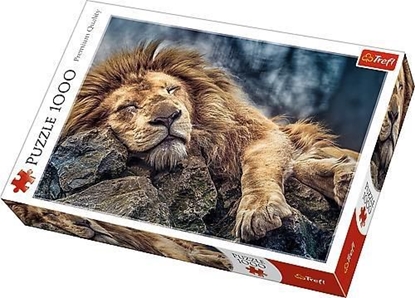 Attēls no Trefl Puzzle 1000 picy lew (226184)
