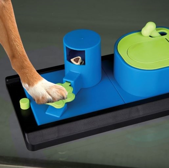 Picture of Trixie Gra dla psa Poker Box Vario 2, 32 × 17 cm