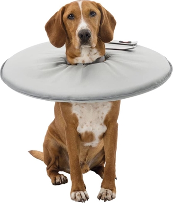 Picture of Trixie Konierz ochronny, L-XL:53-56cm/27cm, szary