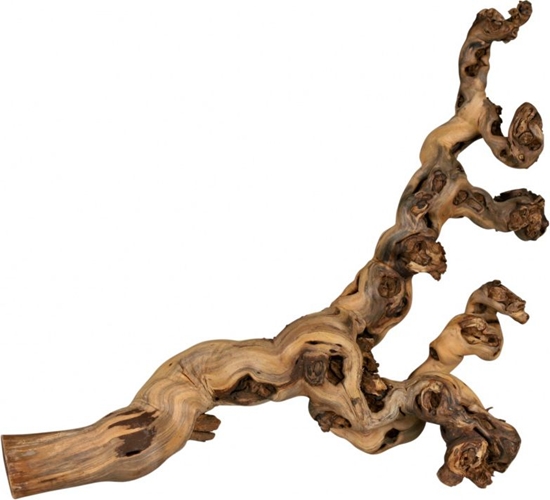 Picture of Trixie Korzenie winorola 6 szt. piaskowane 55-80cm