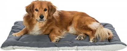 Attēls no Trixie Mata Farello, biao-szara/szara, plusz/tkanina, 90 × 65 cm