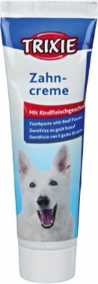 Picture of Trixie PASTA DO ZBÓW O SMAKU MISNYM 100g