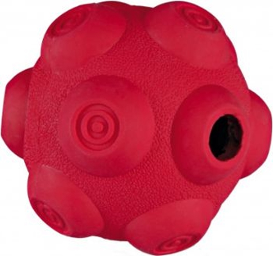 Picture of Trixie Pika snacky 9cm