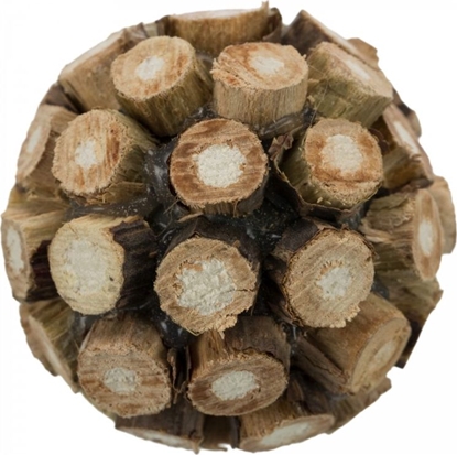 Attēls no Trixie Pika z Matatabi zabawka kota gryzak czyci zby uniwersalny