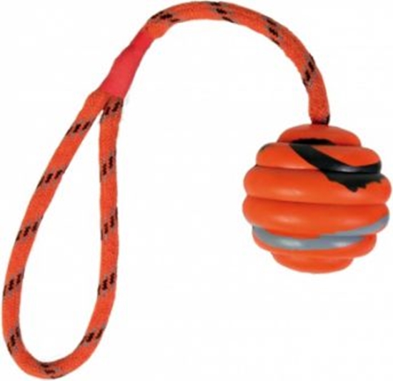 Picture of Trixie PIKA ZE SZNURKIEM 6/30 CM