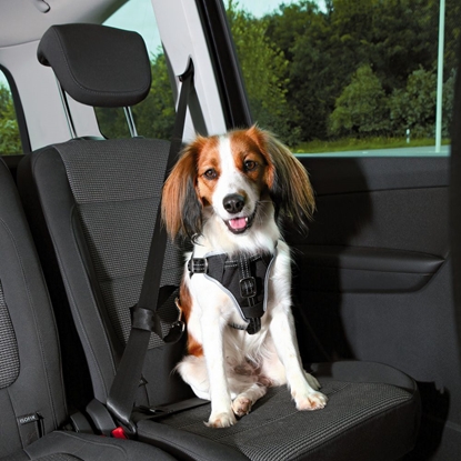 Picture of Trixie Szelki samochodowe Dog Protect S-M: 40–55 cm/20 mm czarny