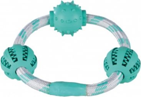 Picture of Trixie Sznur z pikami Denta Fun, o 20 cm