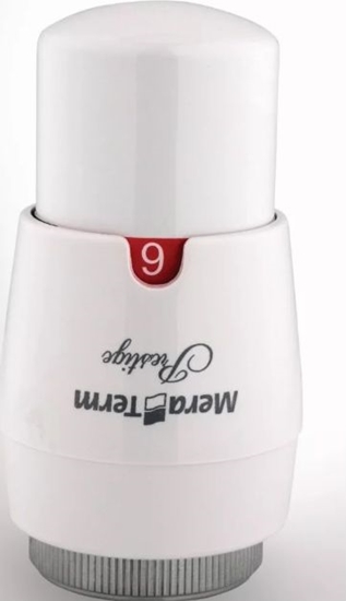 Picture of Varioterm gowica Prestige GS.02-06C CM30x1,5 biay (000M636A006)