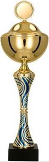 Изображение Victoria Sport Puchar metalowy z przykrywk