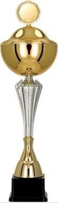 Picture of Victoria Sport Puchar metalowy z przykrywk