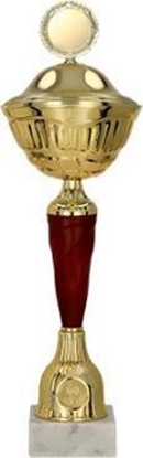 Изображение Victoria Sport Puchar metalowy z przyrkywk