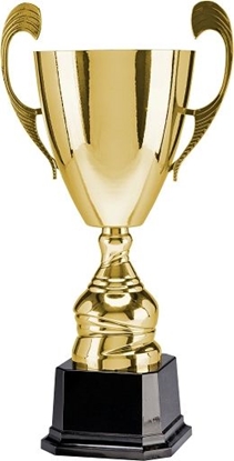 Attēls no Victoria Sport Puchar metalowy zoty T-S 4104-N/E