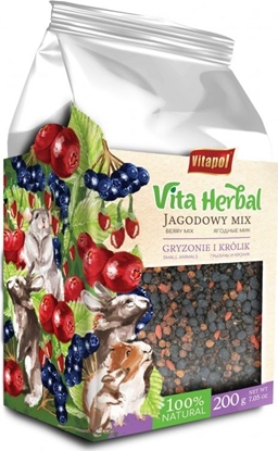 Attēls no Vitapol Vita Herbal dla gryzoni i królika, jagodowy mix, 200g