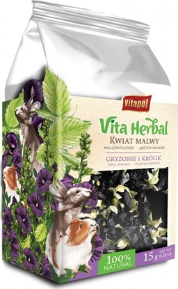 Attēls no Vitapol Vita Herbal dla gryzoni i królika, kwiat malwy, 15g